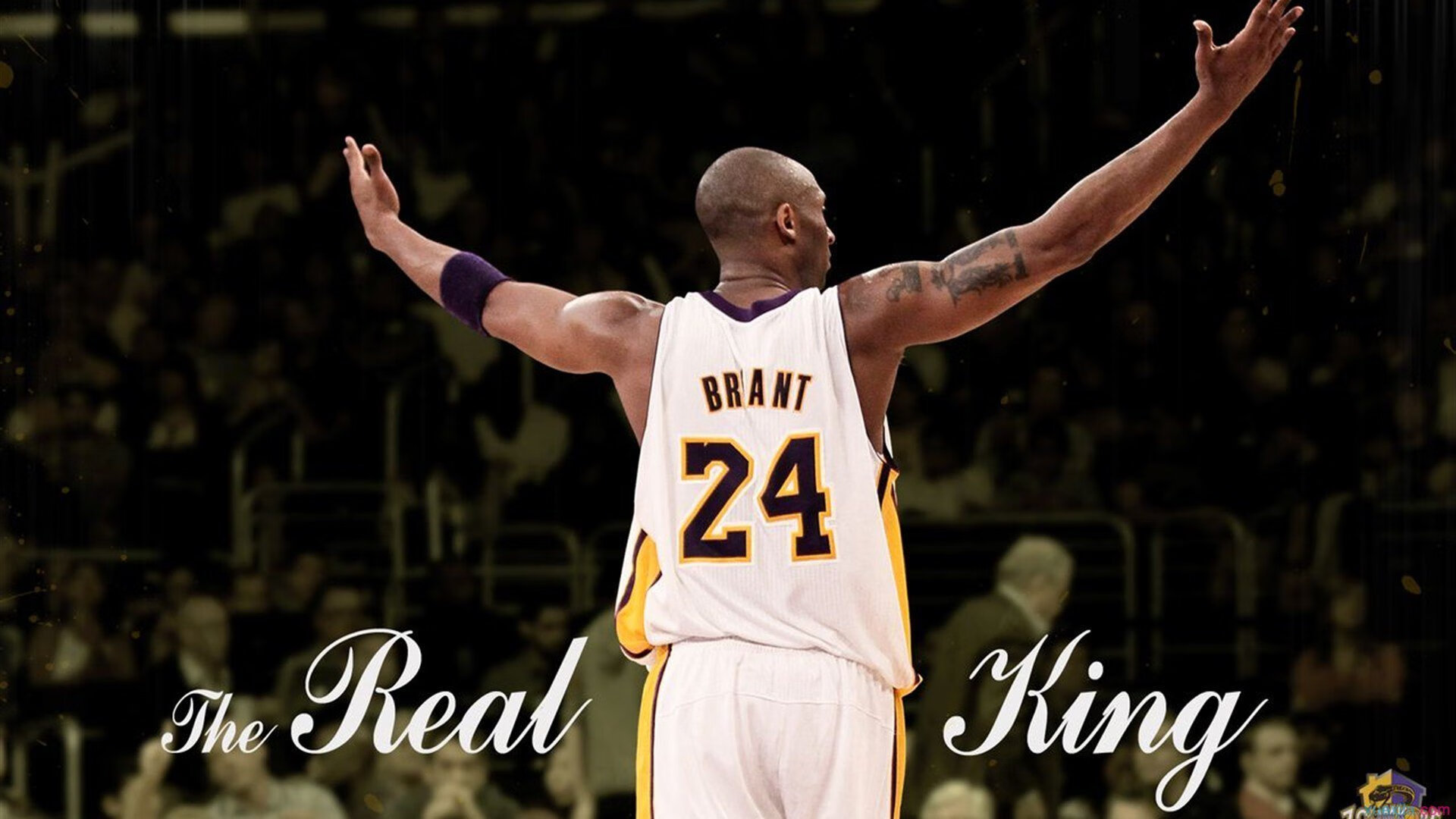 体育营销新玩法：内容创作与粉丝社群共振，体育营销十大经典案例